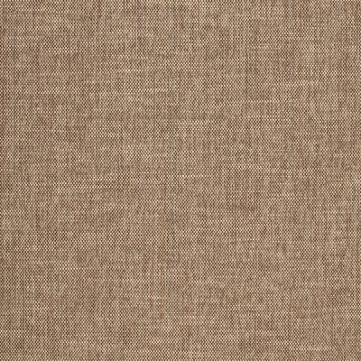 Novel Chestnut (F2042)