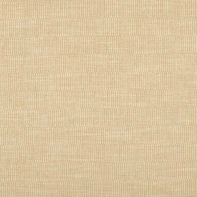 Shoshone Sisal